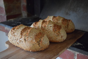 Just baked seeds and sprouts