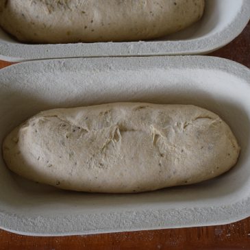 Shaping a Loaf….